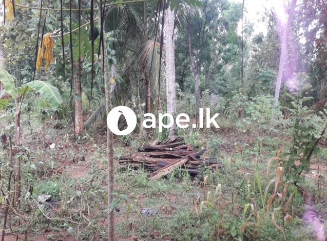 Land for sale abilipitiya